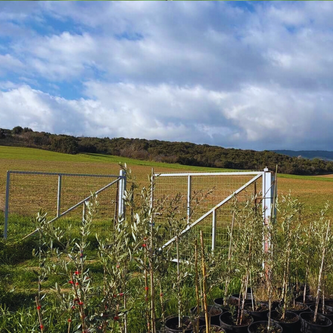 Βιολογικό αγρόκτημα FusionFarm - Εκεί όπου η φύση συναντά τη γνώση